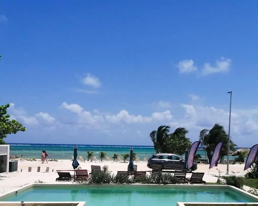 Apartment Mahaguay - Hermoso Departamento Frente Al Mar En Mahahual